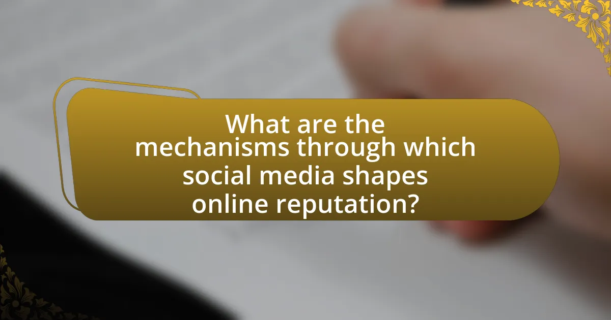What are the mechanisms through which social media shapes online reputation?